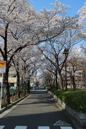 e0023471_17321036.jpg