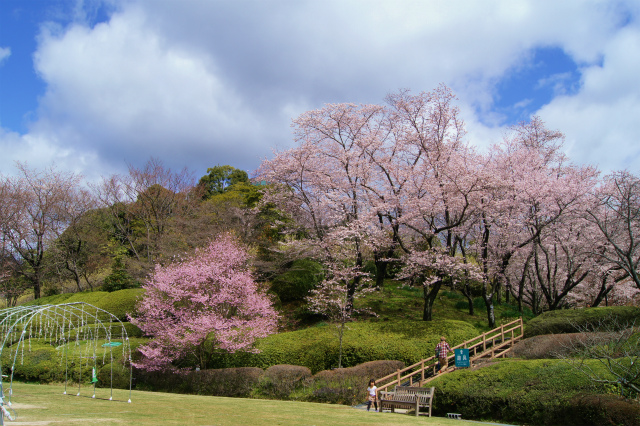 広島植物公園_e0181373_2058108.jpg