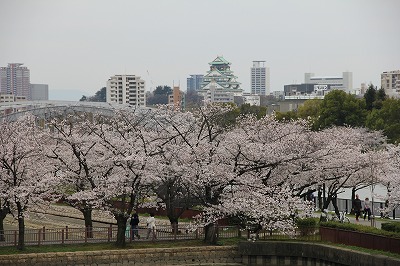 f0259373_16492050.jpg