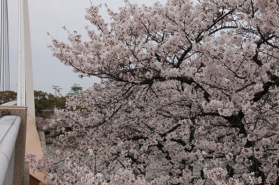 f0259373_17004999.jpg