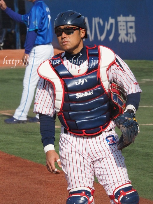 相川亮二捕手フォト 神宮3 29 Out Of Focus Baseballﾌｫﾄﾌﾞﾛｸﾞ 19年終了