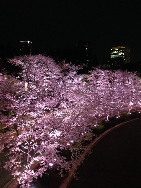 e0109281_21424099.jpg