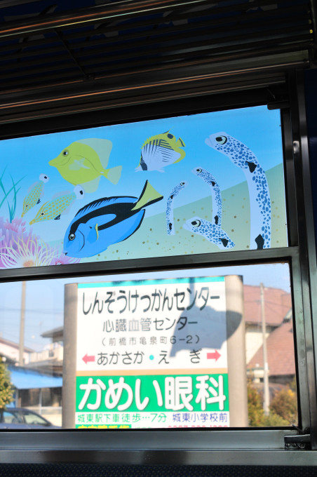 はしる水族館の車窓越しに・・_d0248784_21443144.jpg