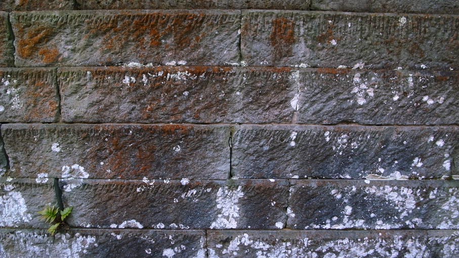 b0061387_9485341.jpg