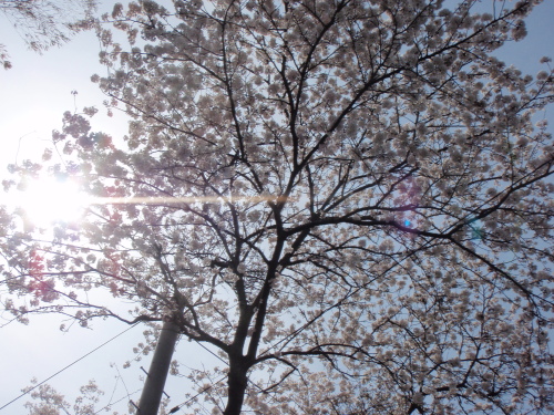 d0318191_17504244.jpg