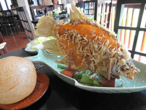 13年12月 名物エレファントイヤーフィッシュ レストラン メコン Tien Gian なんてことはない ブログ