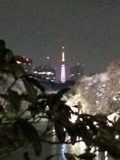 b0129897_94323100.jpg