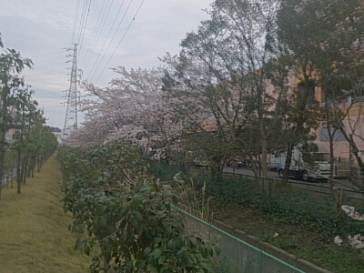 d0156797_9173918.jpg