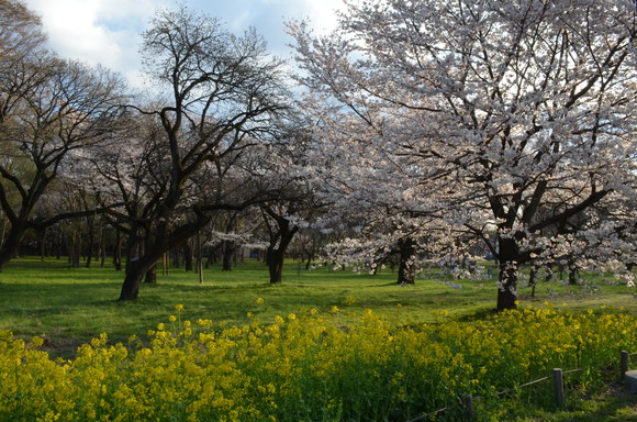 a0288500_1132895.jpg