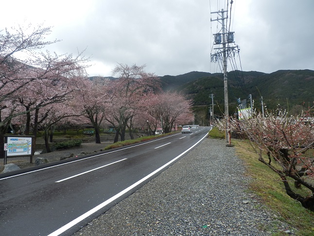 c0098501_0143531.jpg