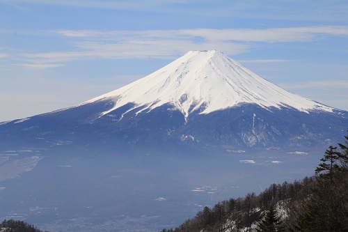 三ツ峠・・・風雪に耐えていたレンゲショウマ_a0158702_14432759.jpg