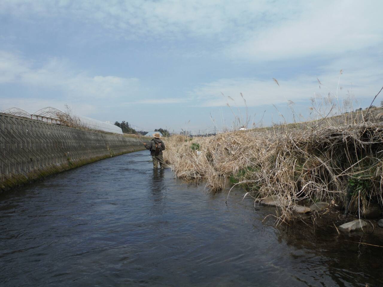 b0172805_1141387.jpg