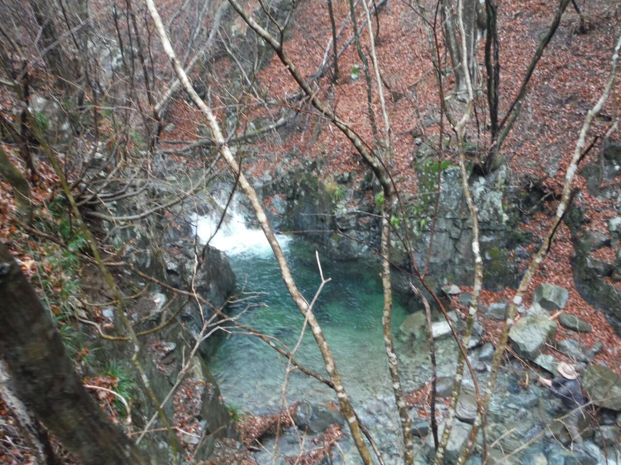 b0172805_123117.jpg