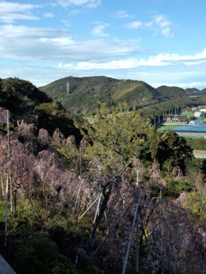 a0160509_6554410.jpg