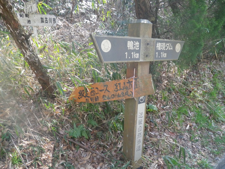 2014.04.01(火) ゆぴか周回ハイキング_a0062810_11531444.jpg