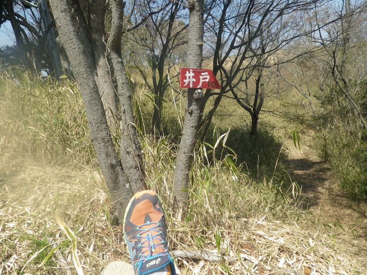 2014.04.01(火) ゆぴか周回ハイキング_a0062810_11591327.jpg