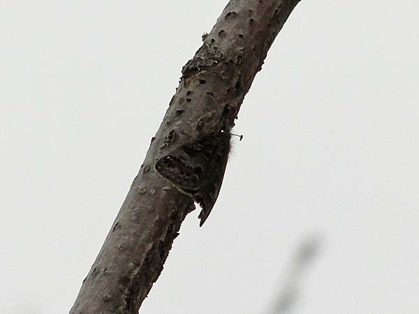 b0033112_22201715.jpg