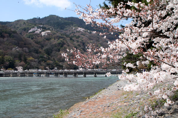2014花めぐり16 嵐山_e0048413_23513155.jpg