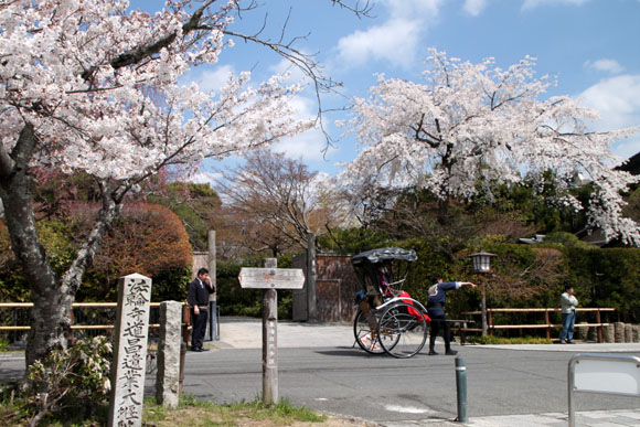 2014花めぐり16 嵐山_e0048413_23525964.jpg