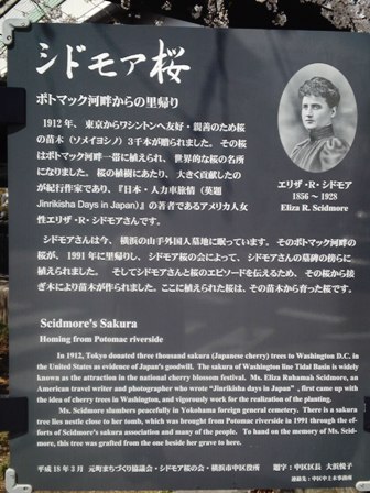 e0117613_16651.jpg