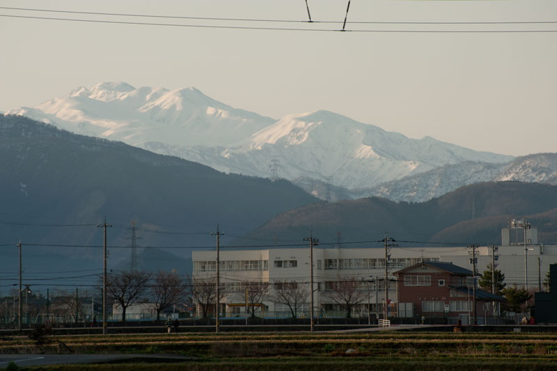 a0278914_1750332.jpg