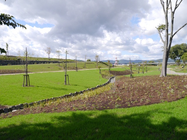 e0336214_1426974.jpg