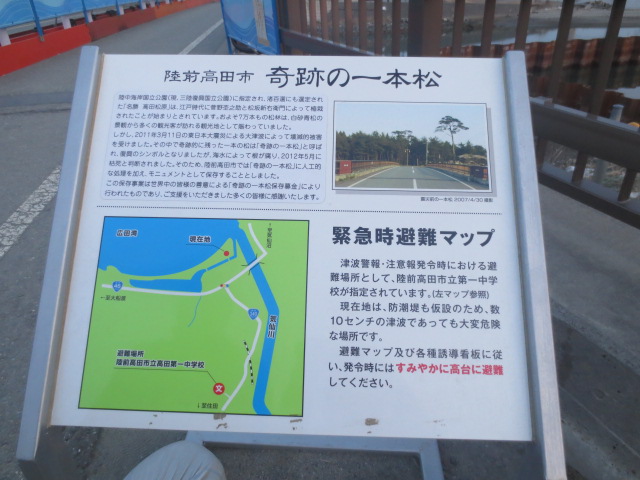 沿岸地域　　NO.6   　奇跡の一本松_f0248616_1030392.jpg