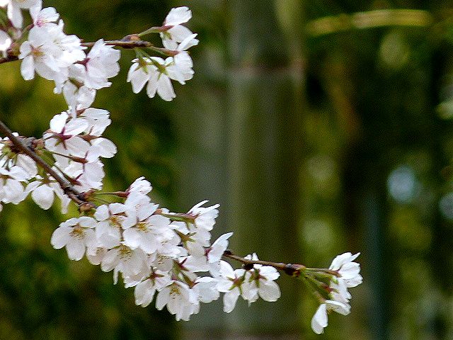 d0197317_09232963.jpg