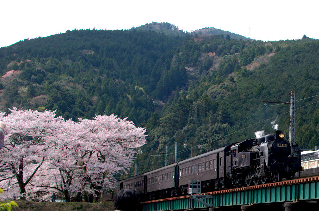 d0072720_2224937.jpg