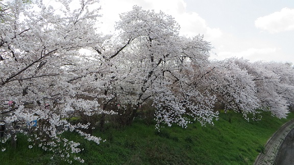c0280322_16252433.jpg