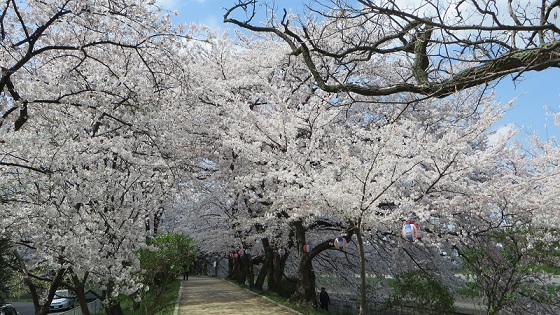 c0280322_16254377.jpg