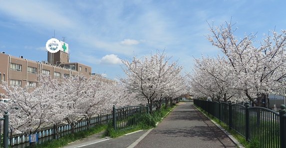 c0280322_16275220.jpg