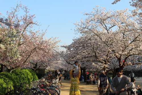 a0113323_0275143.jpg