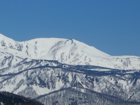 c0225927_15344845.jpg
