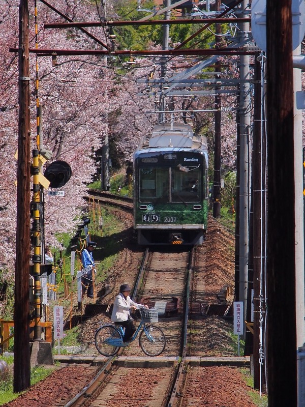 桜！僕を乗せた嵐電は行く_d0266327_10232632.jpg