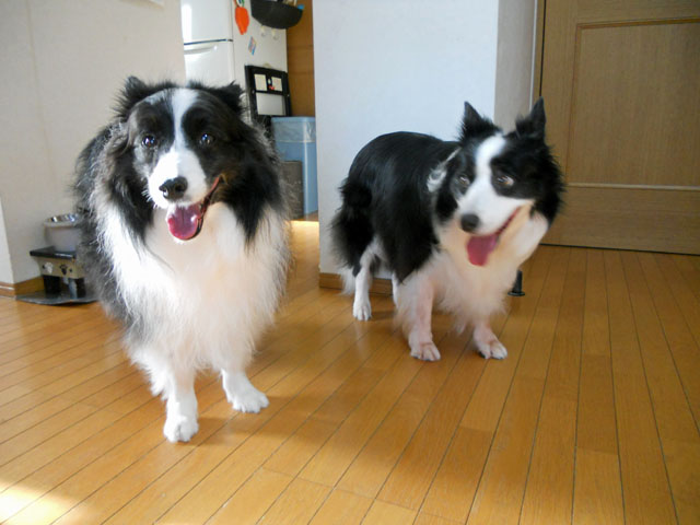 d0059230_8281570.jpg