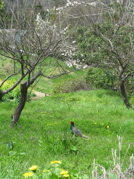 d0323231_20203573.jpg