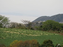 d0323231_21251033.jpg