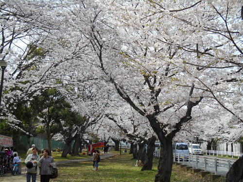 f0232136_1729896.jpg