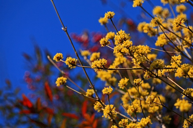 a0242438_18353531.jpg