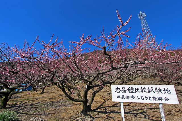 a0242438_183634.jpg