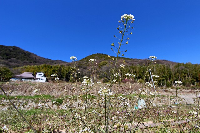 a0242438_1837323.jpg