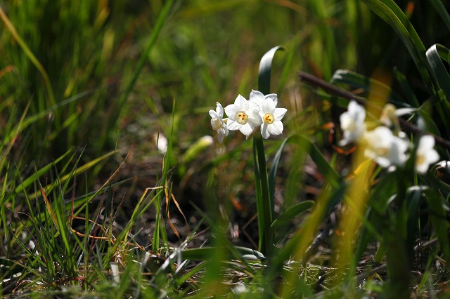 a0242438_1837339.jpg