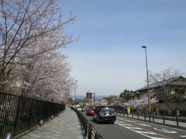 桜の思い出＠ウエスティン都ホテル京都♪_f0295238_08123571.jpg