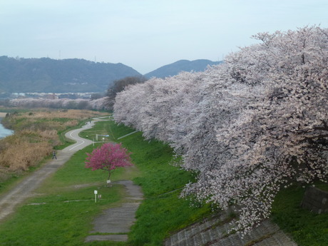 b0217643_23101728.jpg