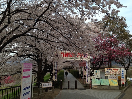 b0217643_2311488.jpg