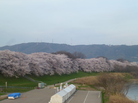 b0217643_23162228.jpg