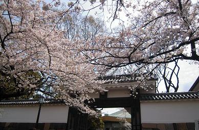 千鳥ヶ淵　と　上野恩賜公園_e0145644_170538.jpg