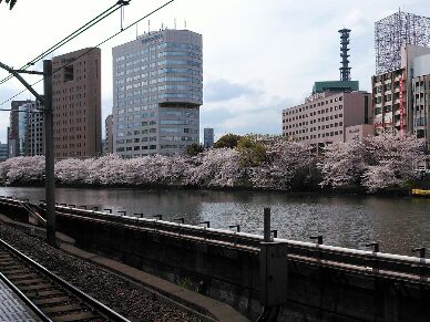 千鳥ヶ淵　と　上野恩賜公園_e0145644_171645.jpg