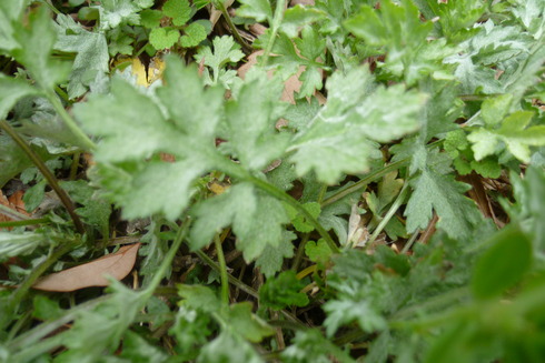 e0177644_1244244.jpg